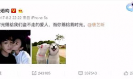 娱乐圈吃瓜爆料张翰,揭秘背后的真相与争议